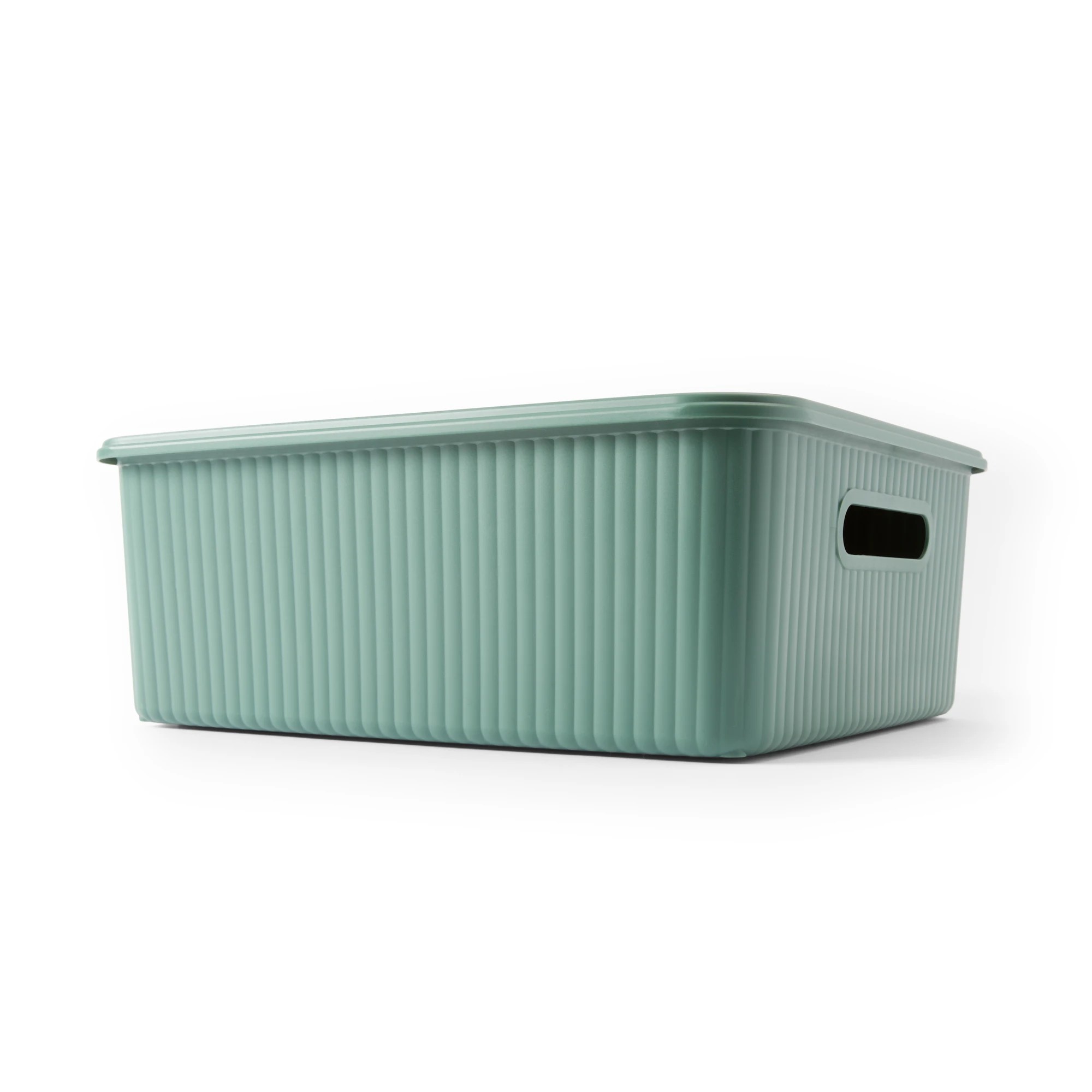 1 11L Ribbed Container - Green, 1 of 9