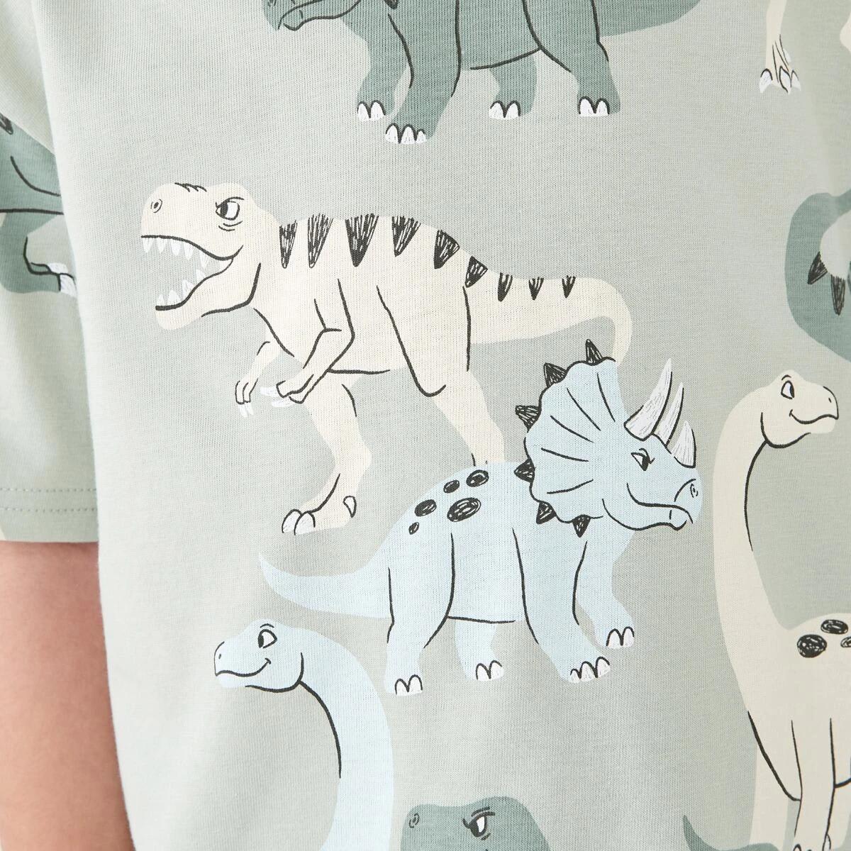 4 All Over Print T-shirt CRANKY DINOS AQUA GREY, 4 of 6