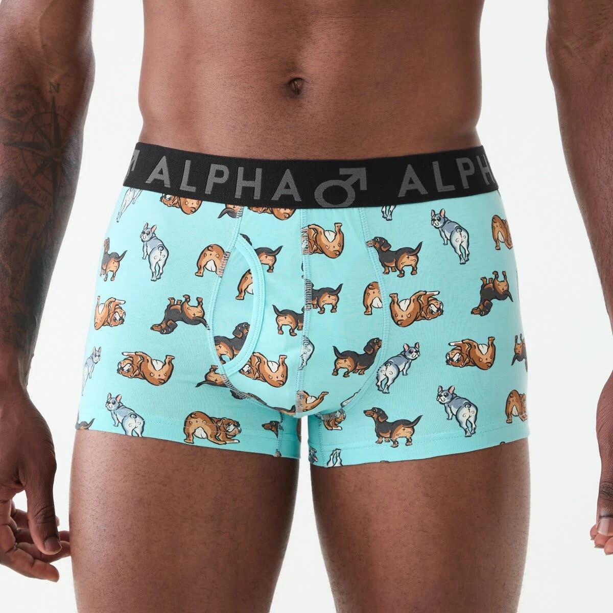 2 3 Pack Fly Front Print Trunks Hey Pups, 2 of 8