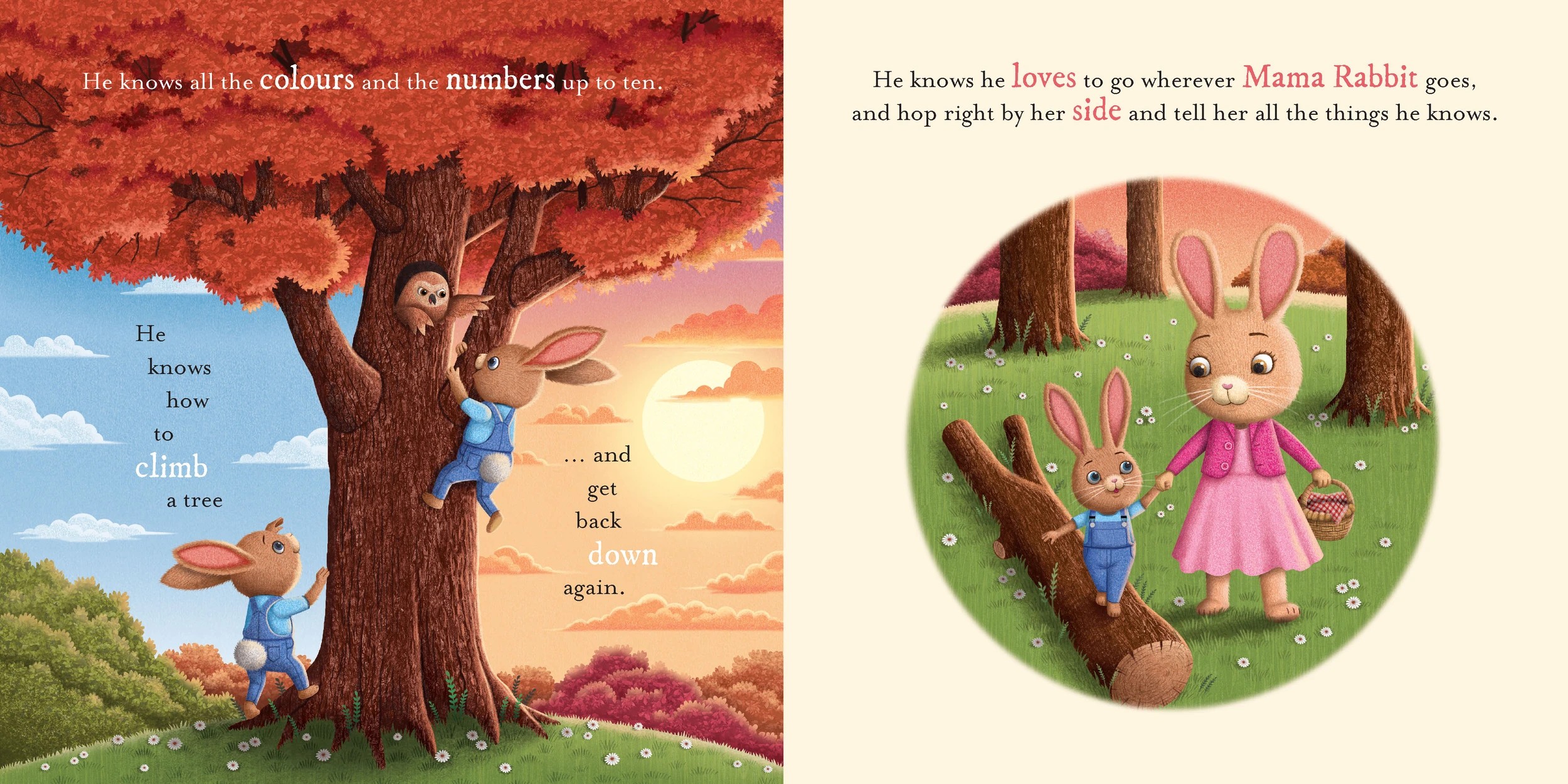 2 Do You Know How Much I Love You? by Em Bruce - Book, 2 of 5