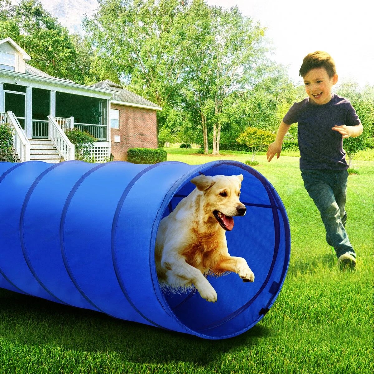 9 Pawise Dog Agility Equipment Set 28 PCS Pet Obstacle Training, 9 of 9