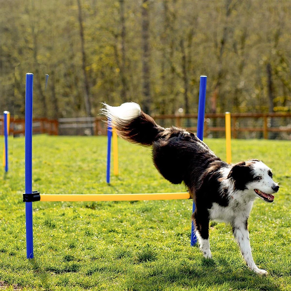 3 Pawise Dog Agility Equipment Set 28 PCS Pet Obstacle Training, 3 of 9
