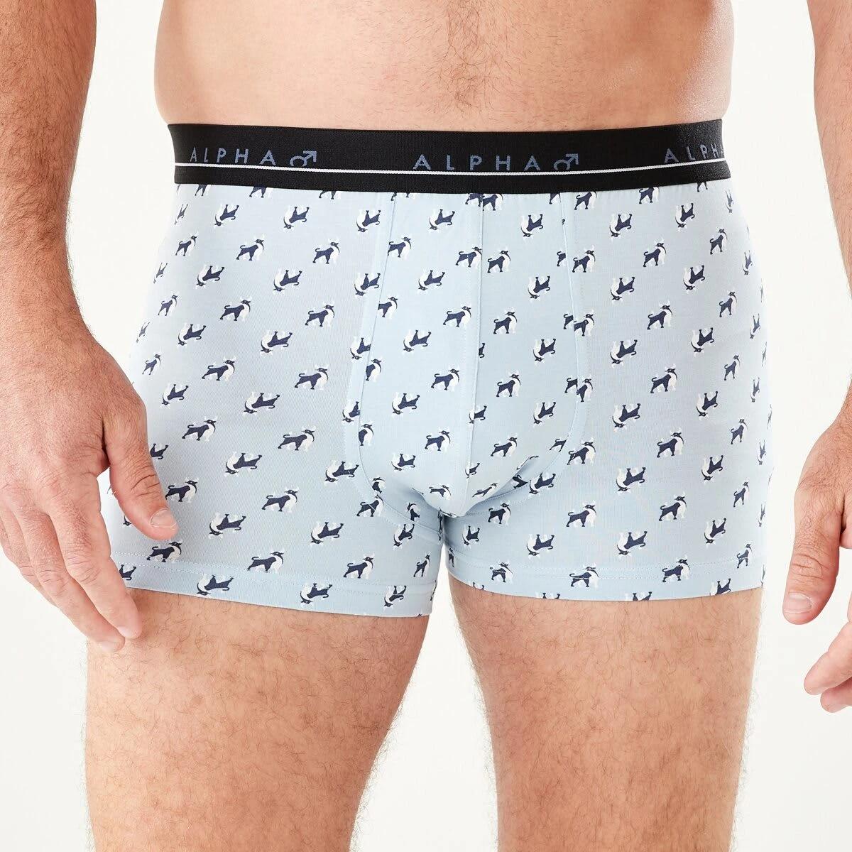 4 5 Pack Trunks BULL ICONS, 4 of 10