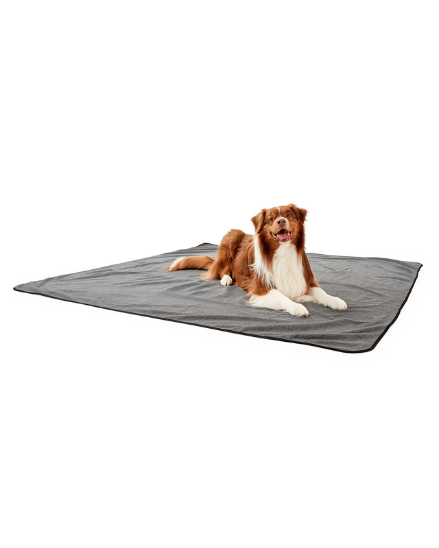 Pet Extra Large Accident Prote