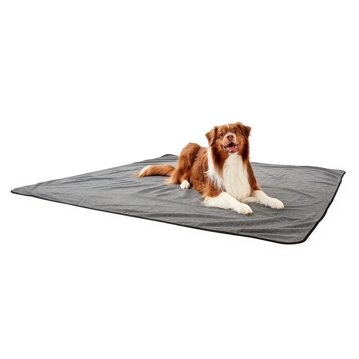 1 Pet Extra Large Accident Protector, 1 of 8