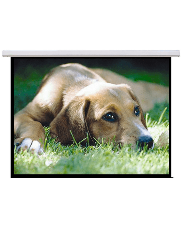 Brateck 135" 16:9 Motorised Projector Sc