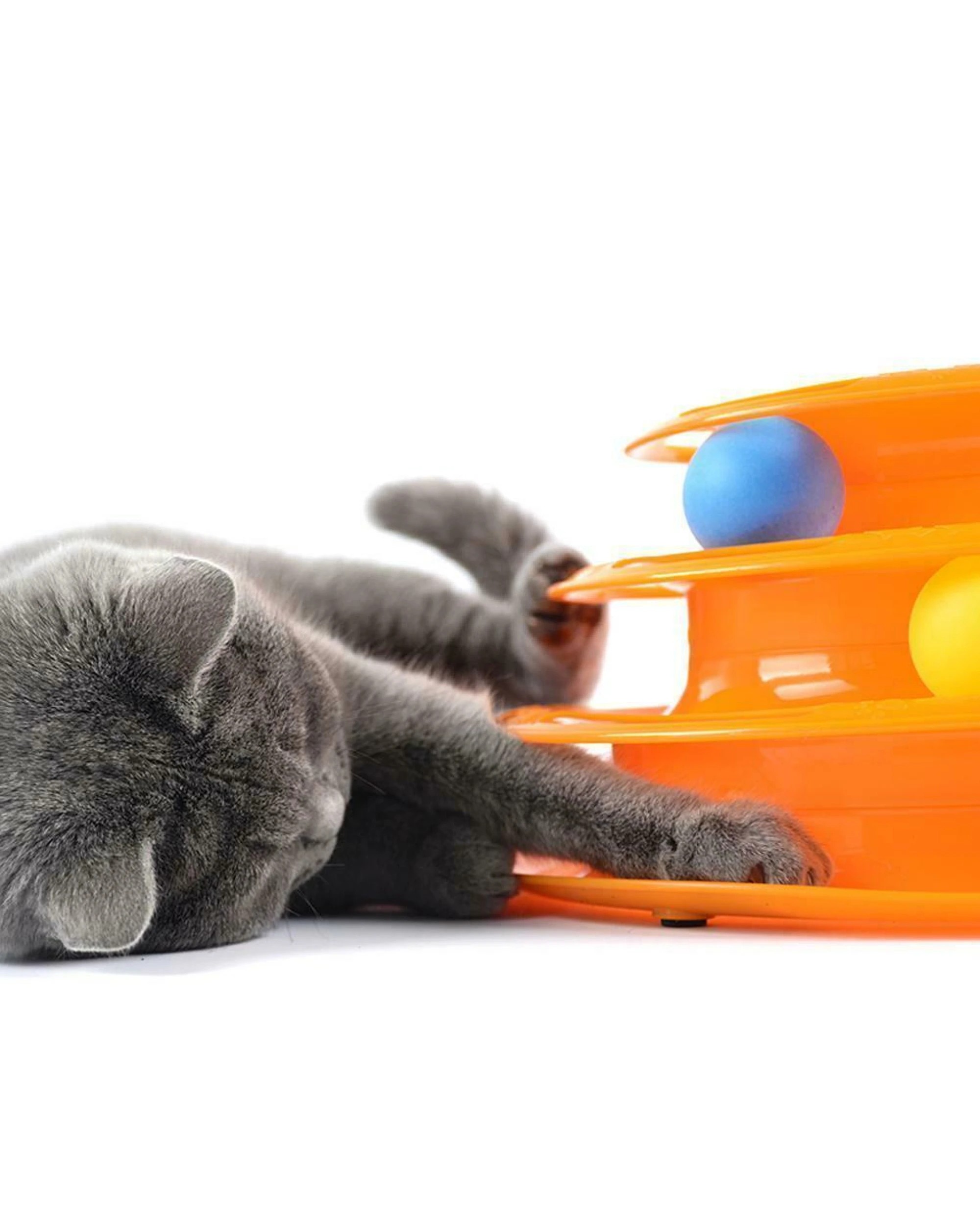 5 BR Toys Interactive Cat Toy with Ball Track, 5 of 10