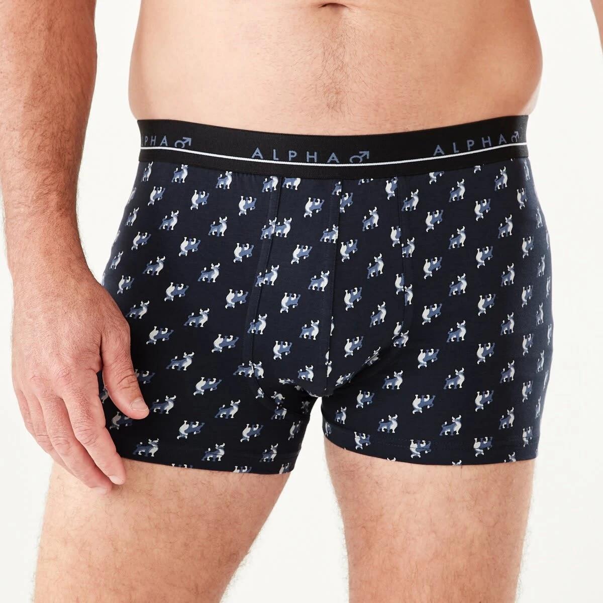 2 5 Pack Trunks BULL ICONS, 2 of 10