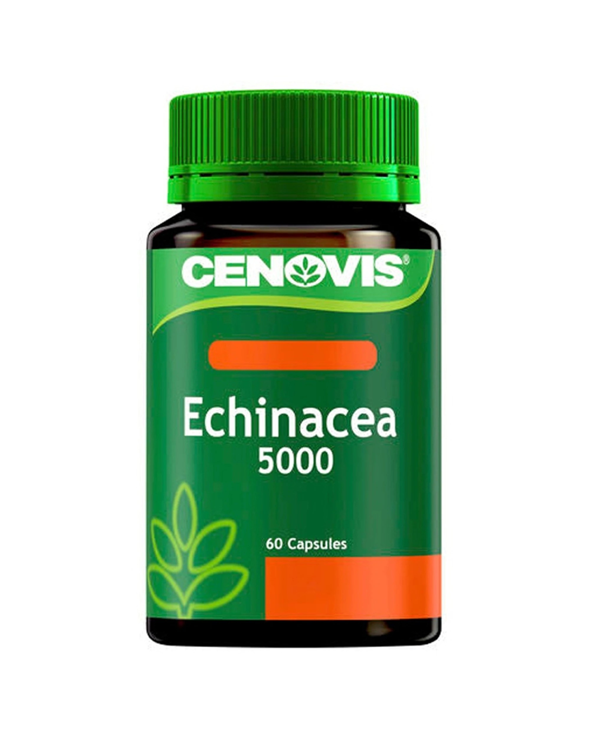 1 Cenovis 60pc Cenovis Echinacea 5000Mg Immune Support & Dietary Supplement Capsules, 1 of 4