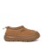 CHESTNUT
