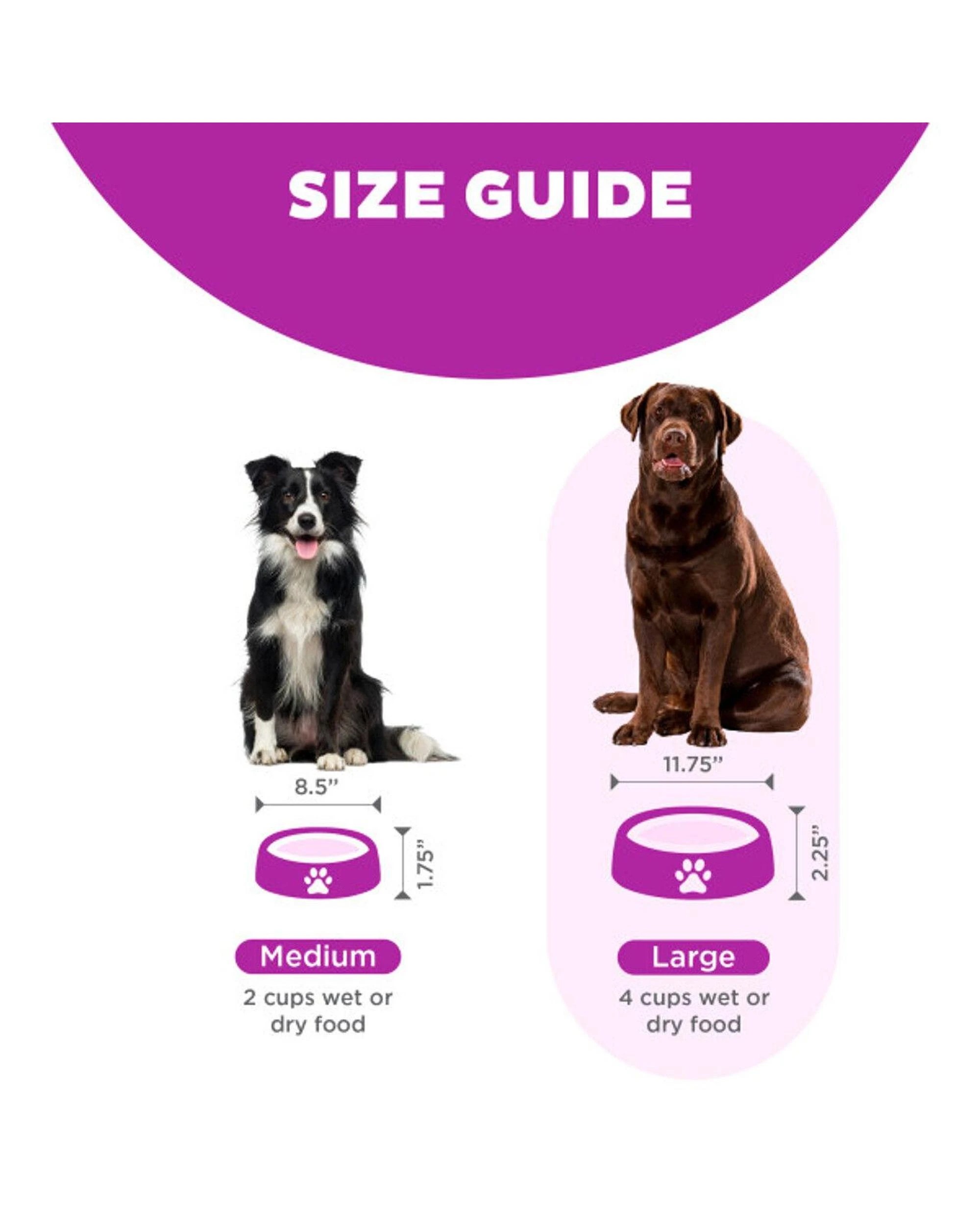 5 Outward Hound Fun Feeder Interactive Slow Bowl Flower for Dogs Purple Large, 5 of 6