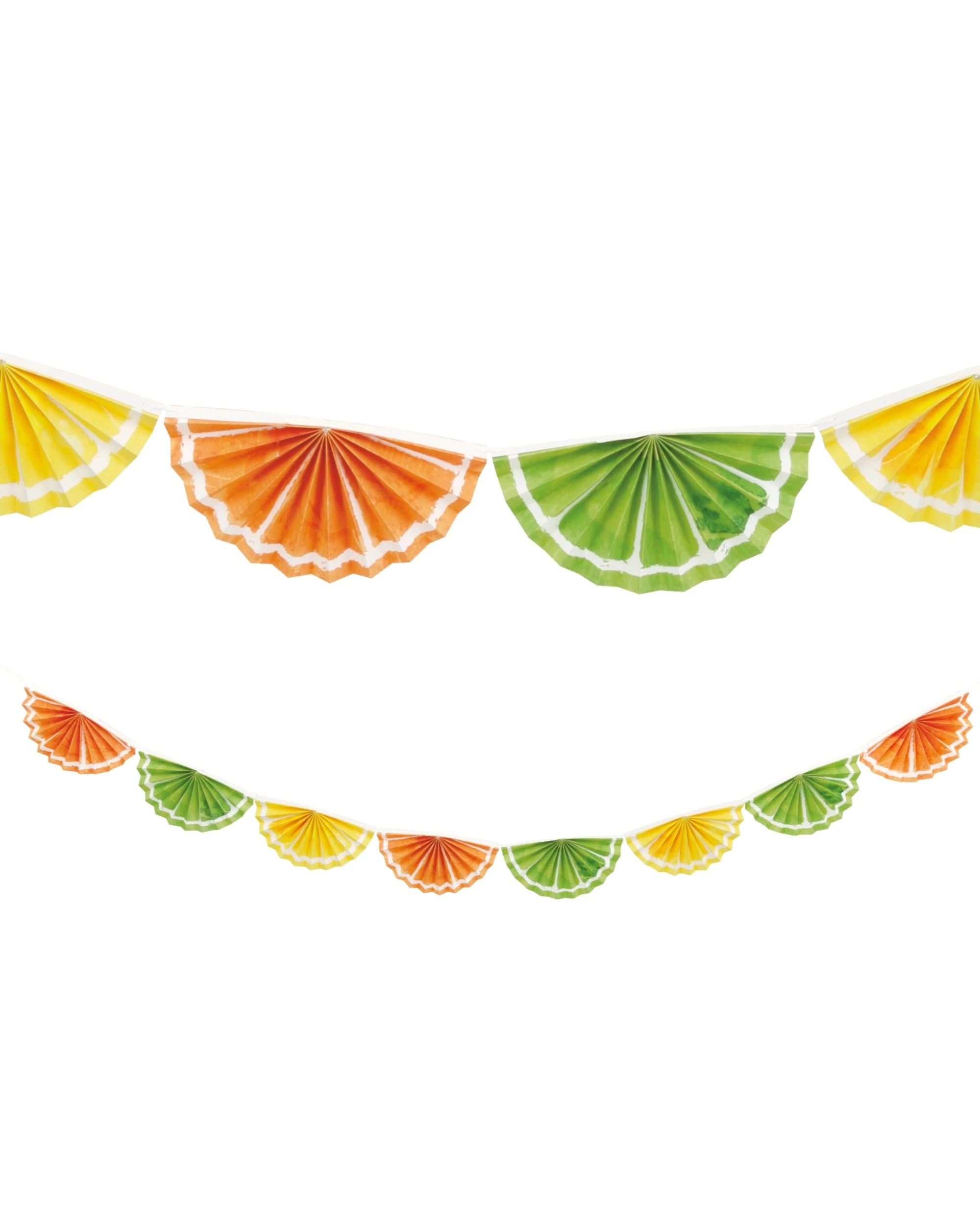 1 Unique Citrus Fruits Fan Garland Banner, 1 of 1