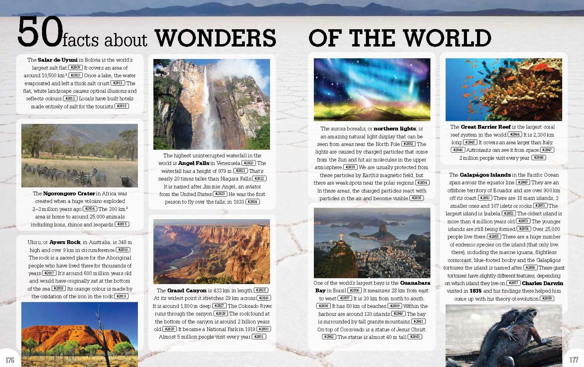 3 5000 Amazing Facts: Incredible But True Facts About Everything! - Book, 3 of 4