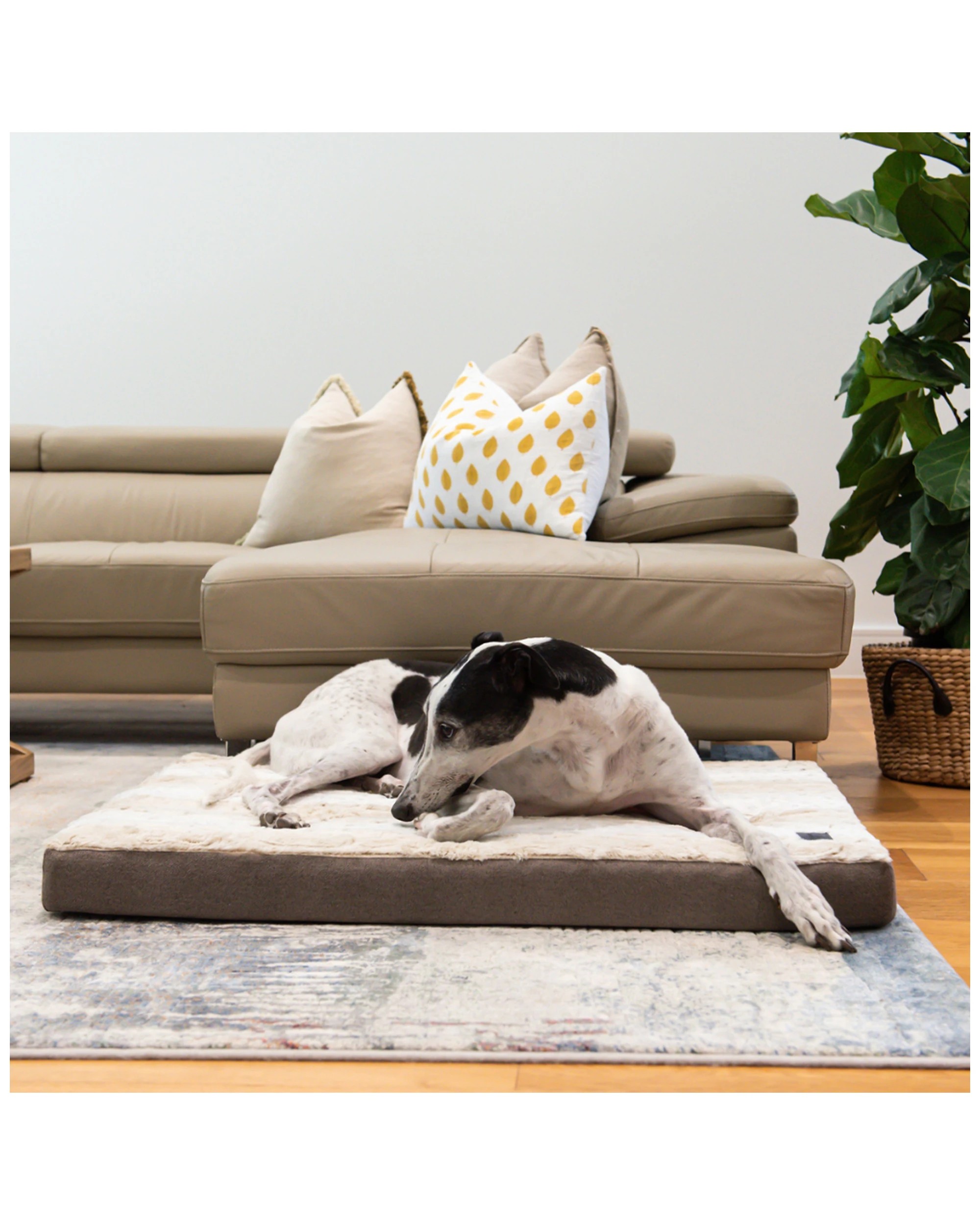 6 Superior Pet Goods Ortho Dog Mat Orthopaedic Dog Bed Medium Antimicrobial - Brown, 6 of 6