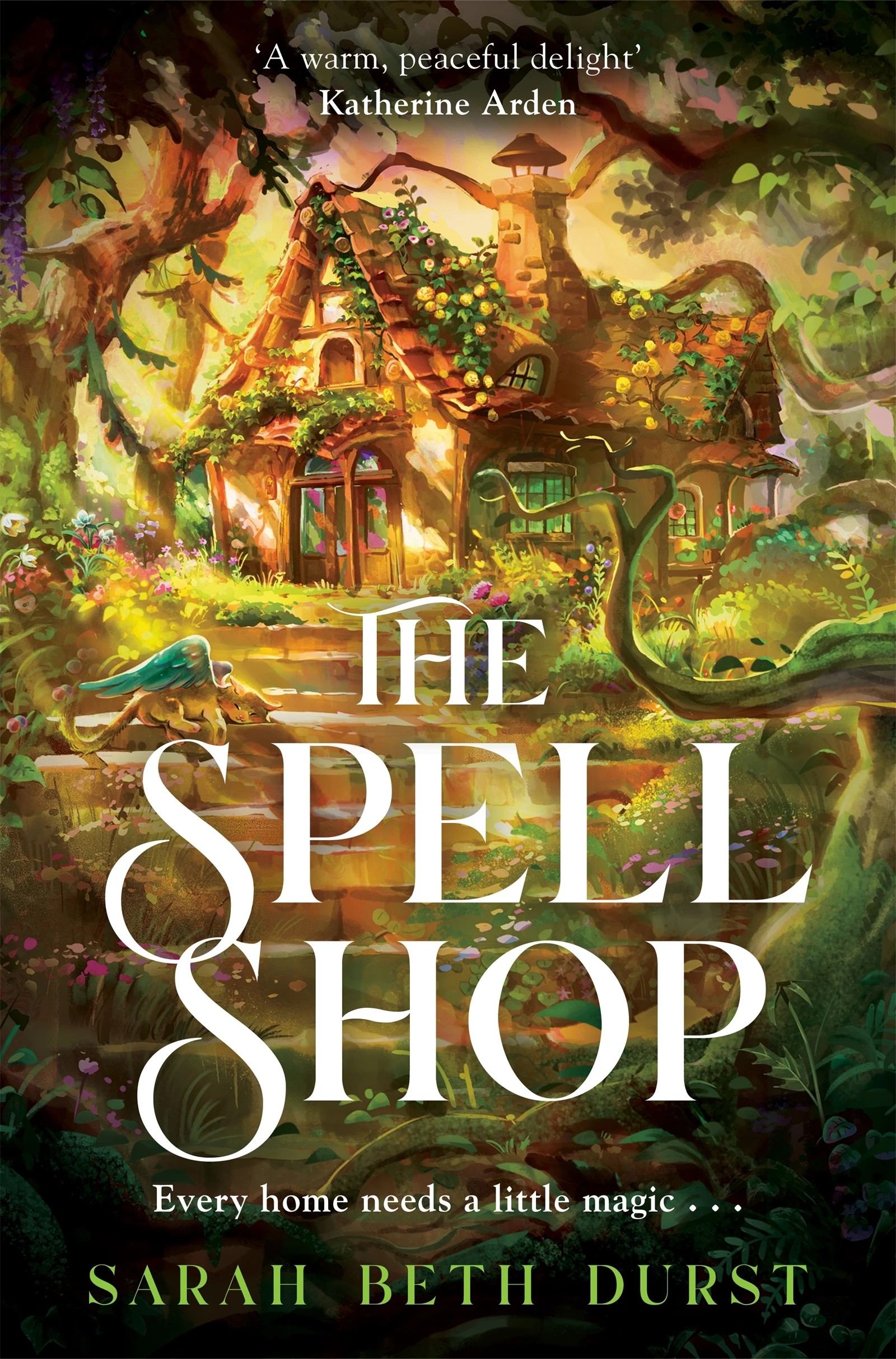 1 The Spellshop by Sarah Beth Durst - Book