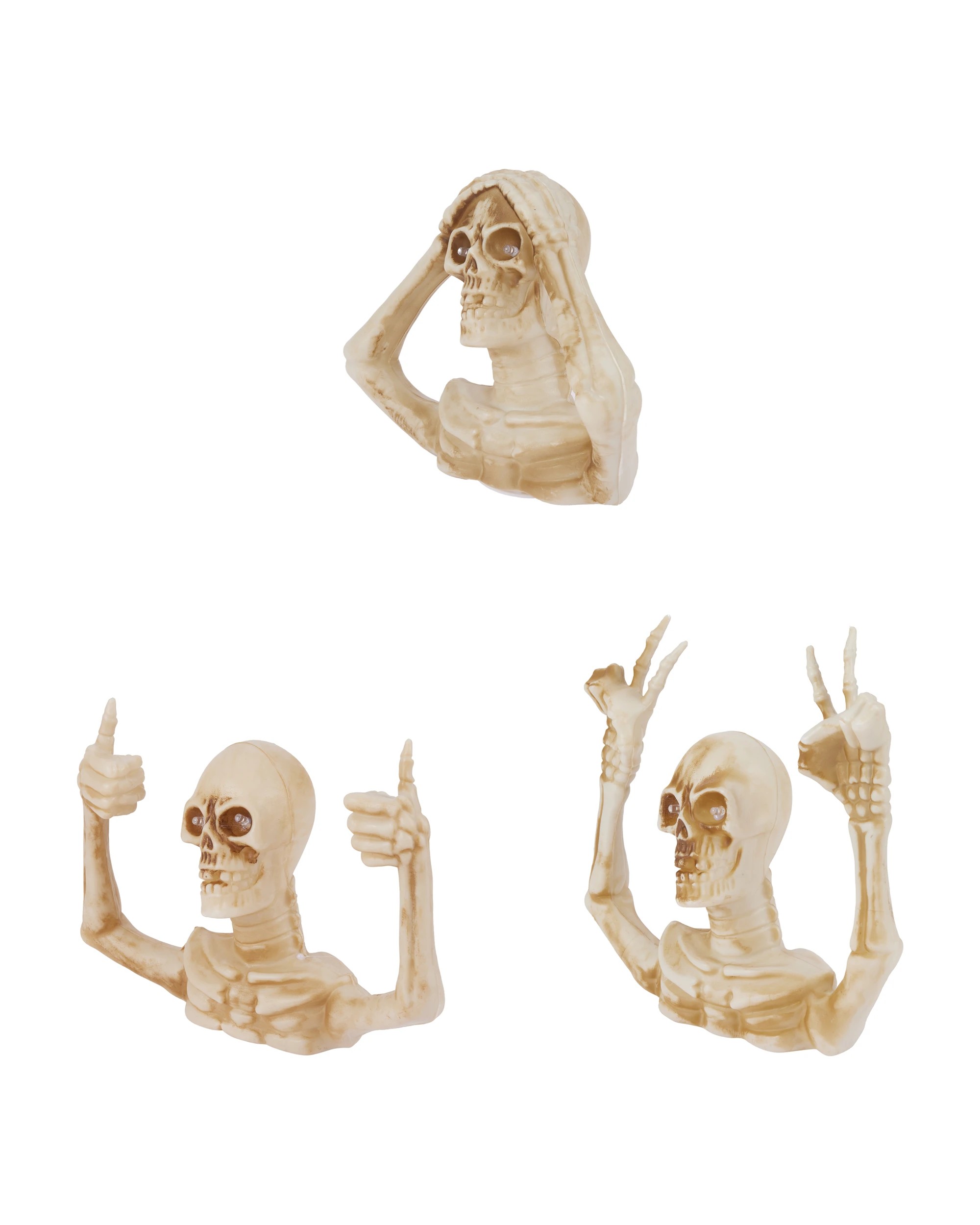 5 Light Up Skeleton Torso - Assorted, 5 of 6