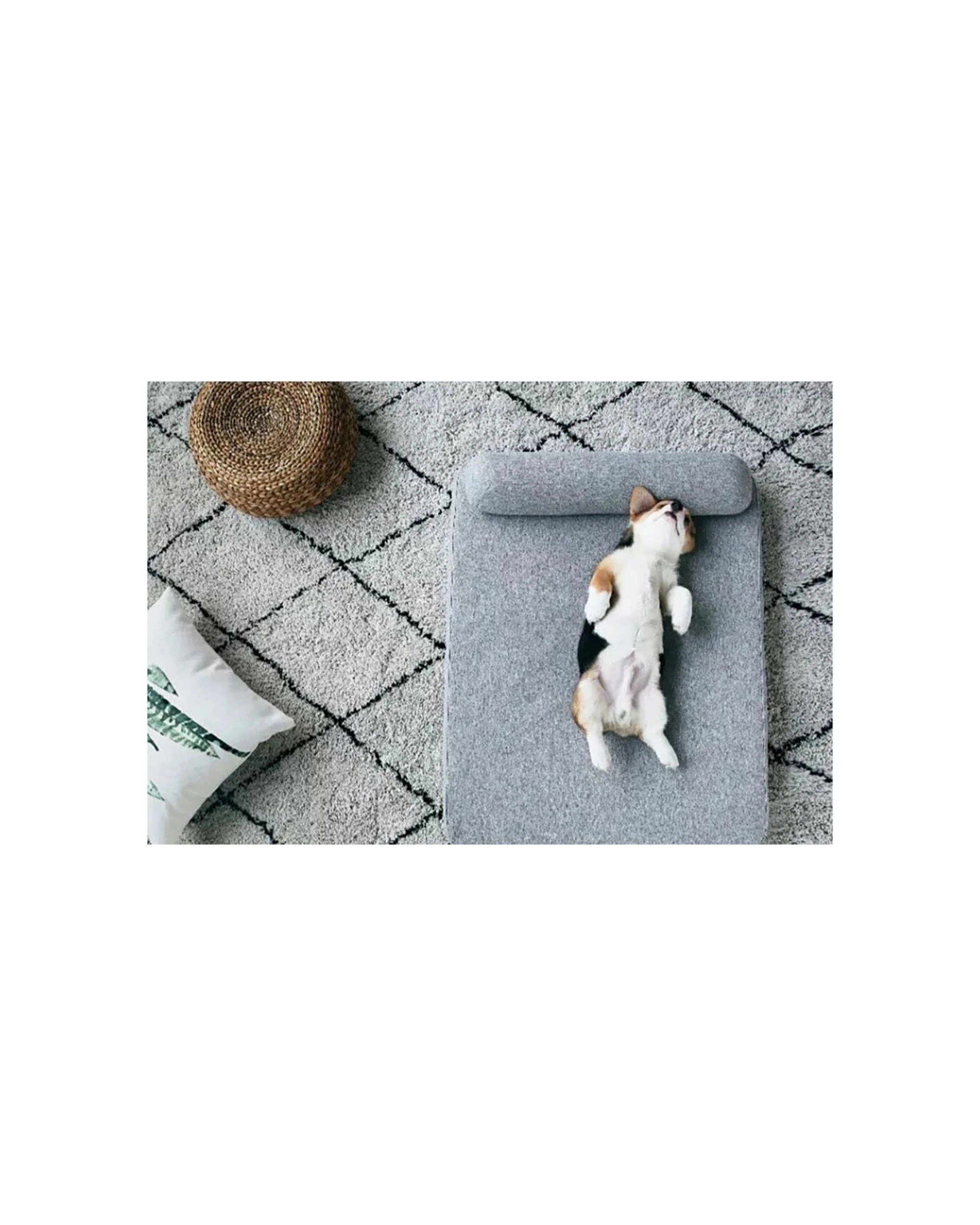 6 Petkit Deep Sleep Pet Mattress Memory Foam Two Layers L Size Washable Cover - Grey, 6 of 6