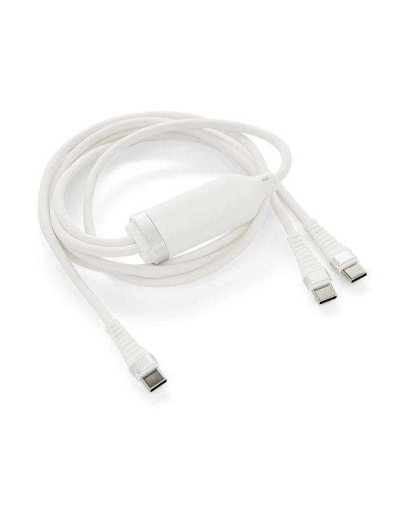 2-in-1 Split C2C 100W Cable