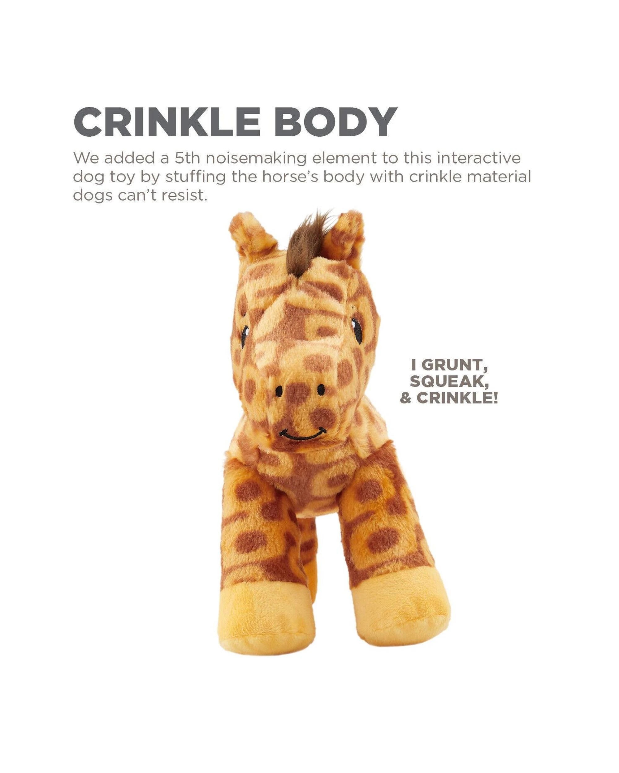 6 Outward Hound Groovy Hoovies Grunt & Squeak Interactive Plush Dog Toy, 6 of 7