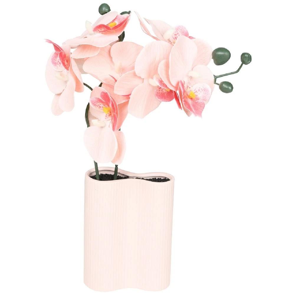 1 Otto Pink Orchid in Ribbed Vase, 1 of 3