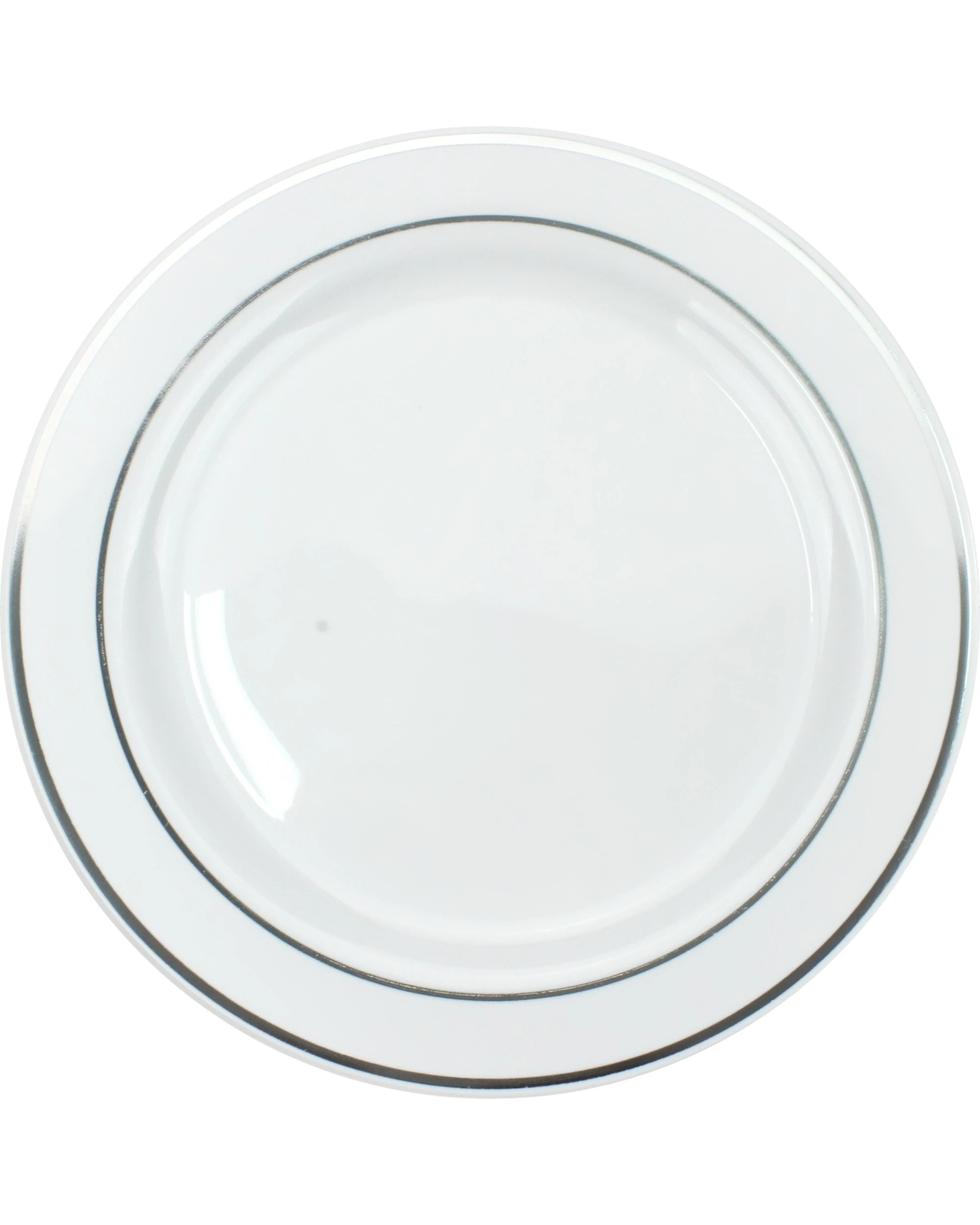 1 Partyware Silver Dual Trim Large Plastic Plates Pack of 6 - Silver, 1 of 1