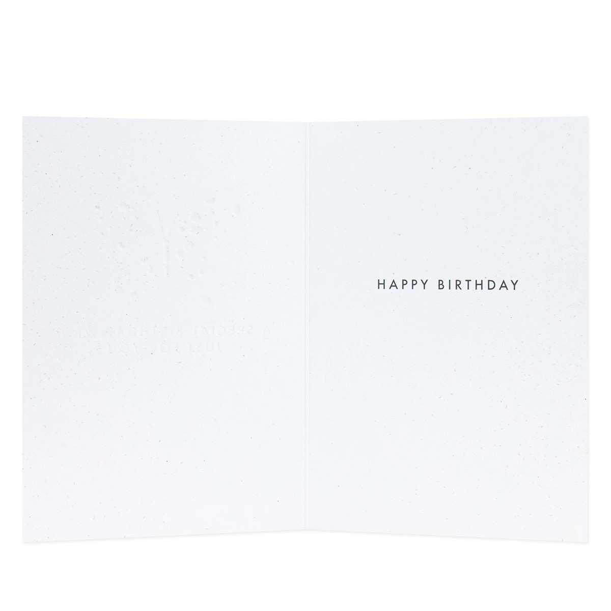 2 Connections from Hallmark Birthday Card - Butterfly, 2 of 3