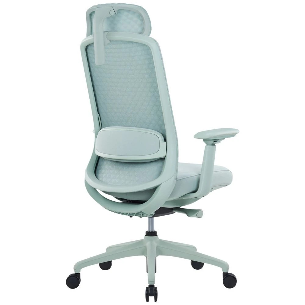 5 Pago Eris Ergonomic Office Chair Green Ergonomic Chairs and Desk Chairs, 5 of 6
