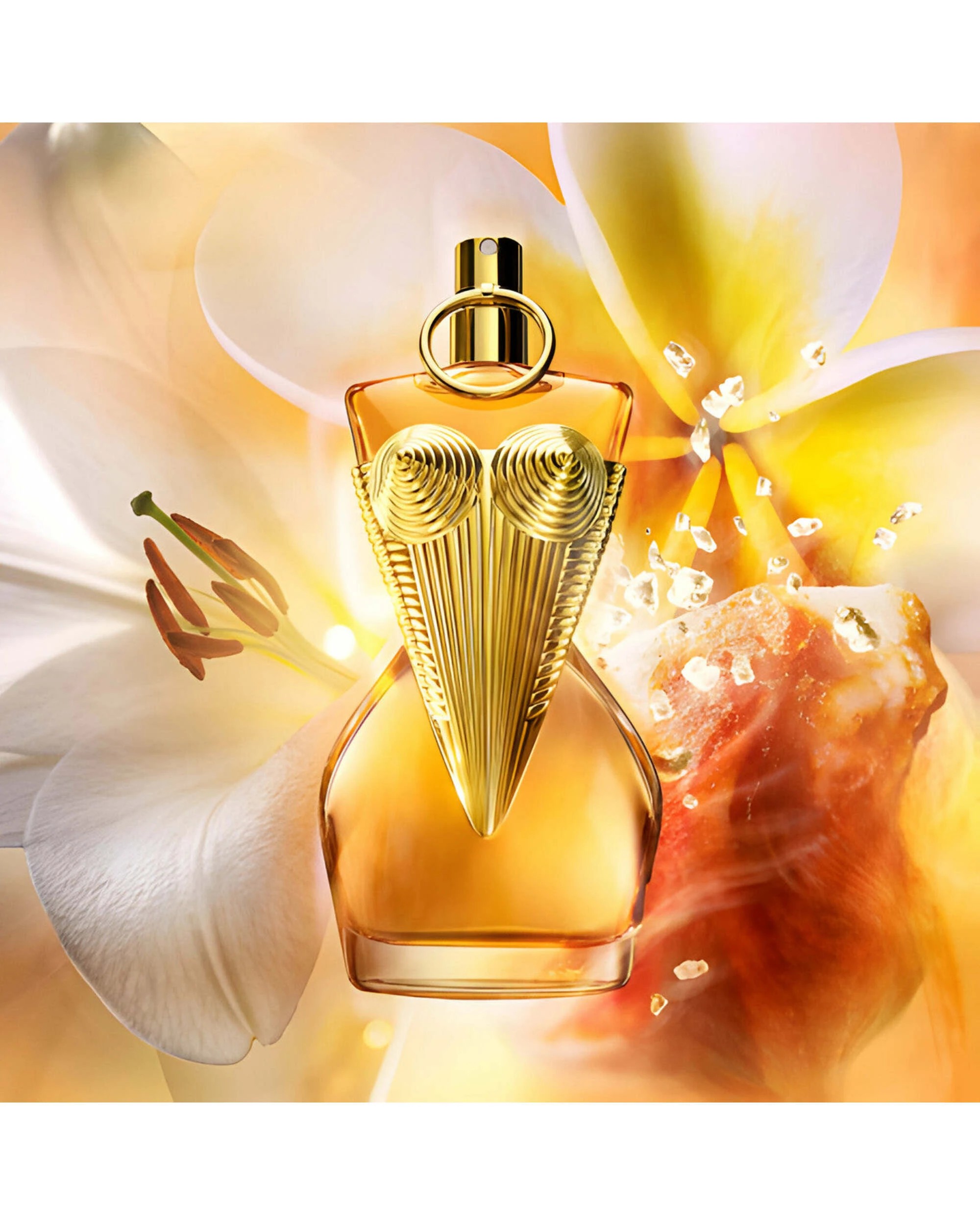 1 Jean Paul Gaultier Divine Le Parfum 100ml Eau De Parfum, 1 of 4