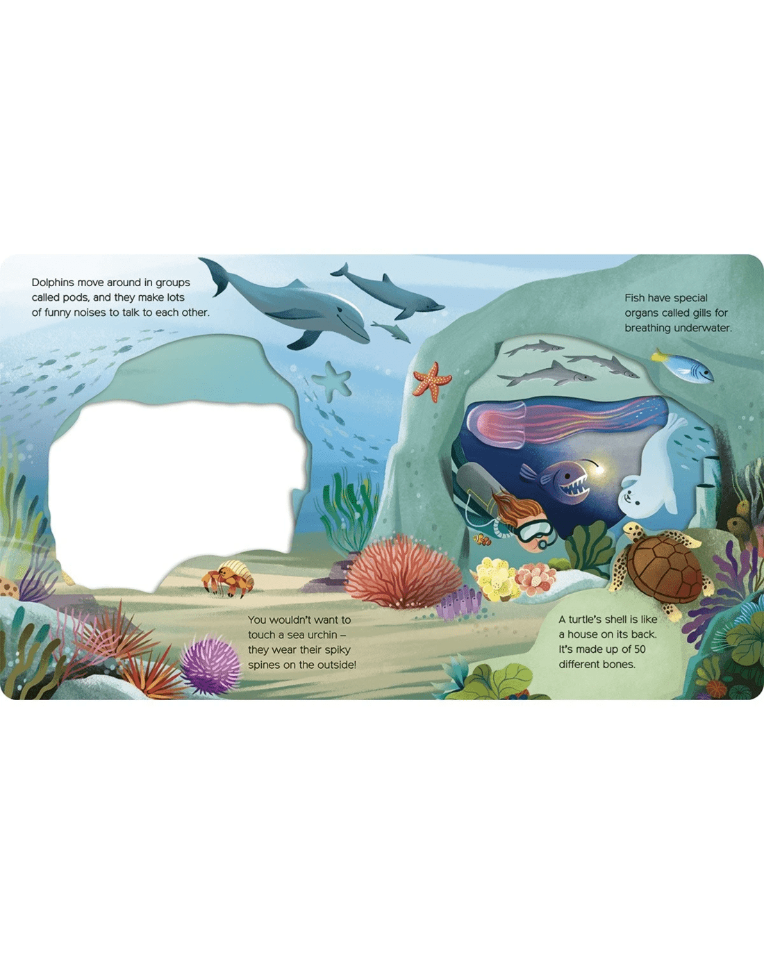 2 What Can You See Under the Sea? - Book, 2 of 2