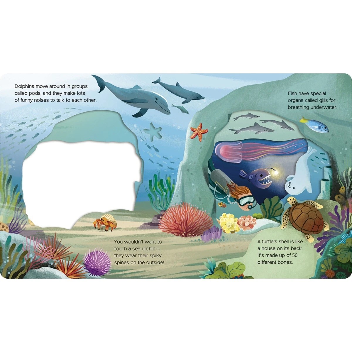 2 What Can You See Under the Sea? - Book, 2 of 2