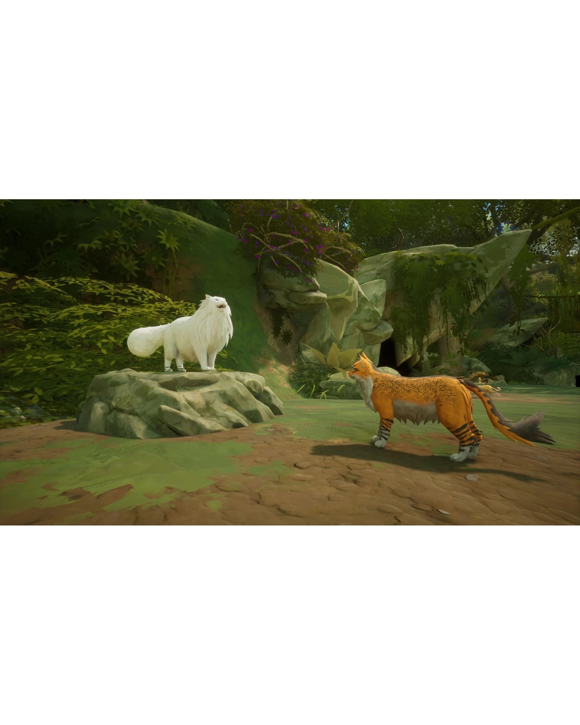 Warrior Cats: Clans of the Forest Feral Edition - Switch - Kmart