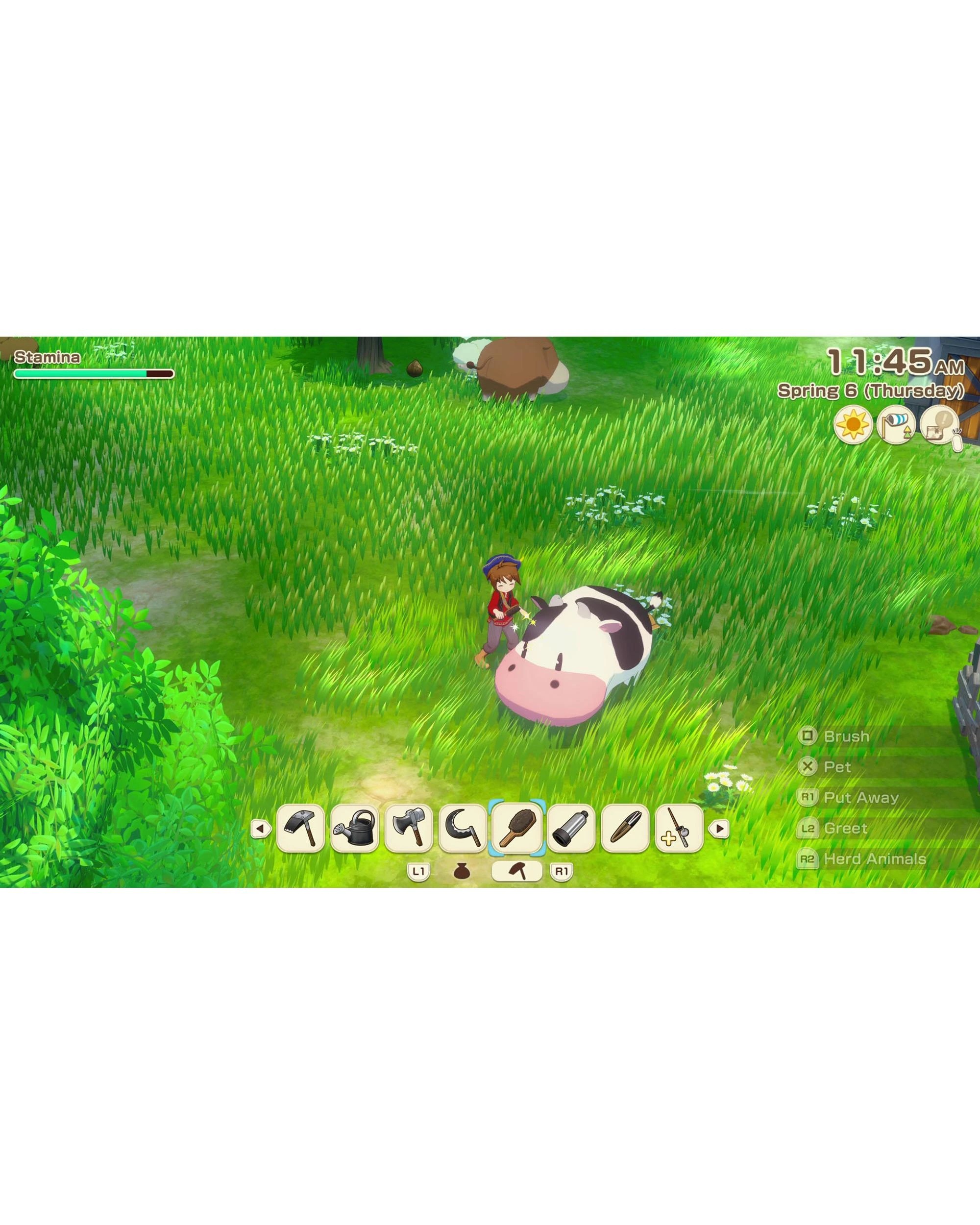 5 Story of Seasons Grand Bazaar - PS5, 5 of 8