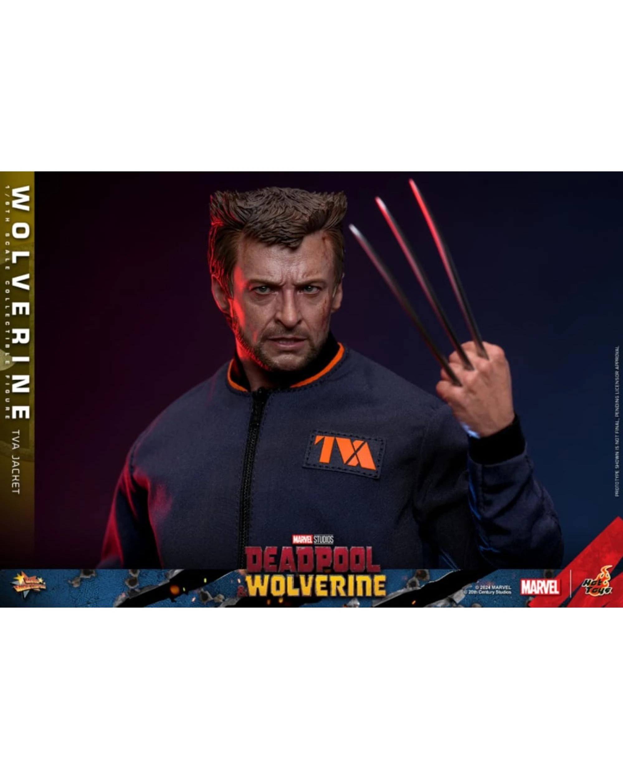 5 Hot Toys Deadpool and Wolverine: Wolverine - TVA Jacket Version -  1:6 Scale Collectible Action Figure, 5 of 8