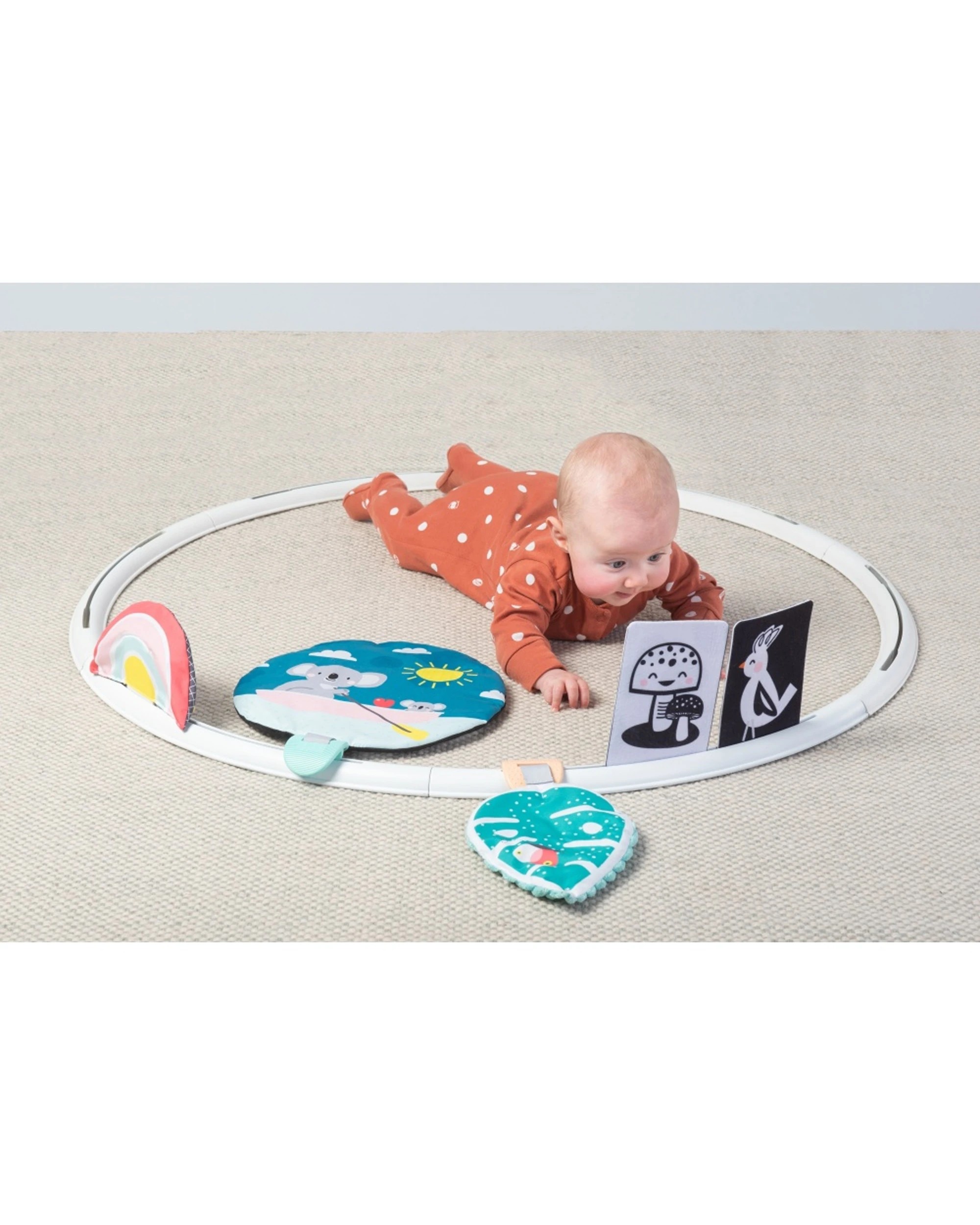 4 Taf Toys All Around Me Activity Hoop Developmental Baby Toy - Multi, 4 of 4