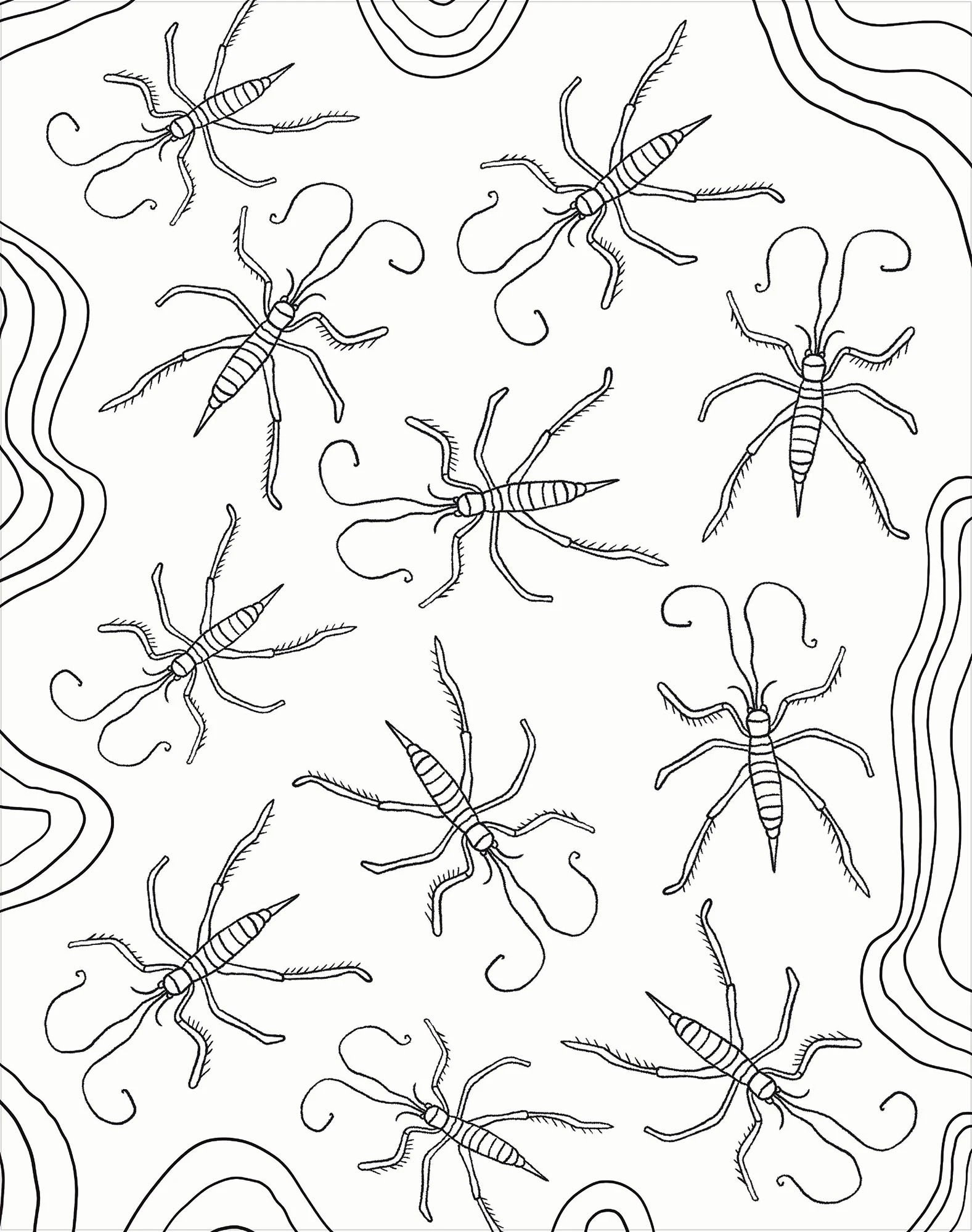 4 Colour-Your-Own Gallery Wall Art: Bugs - Book, 4 of 5