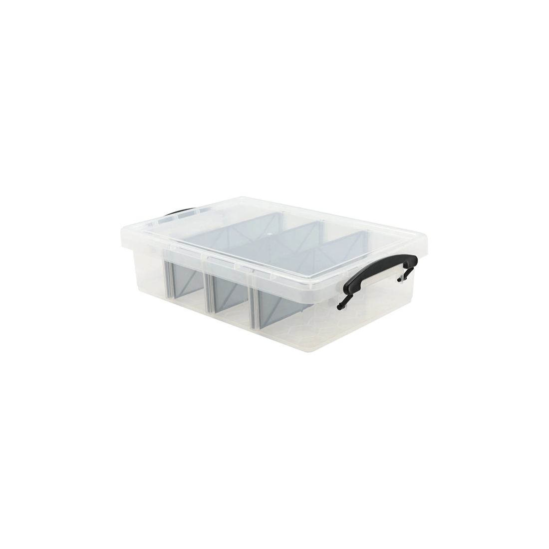 1 Boxsweden 6l Compartment Storer 4 Section Storage Container Plastic Box
 - Clear, 1 of 5