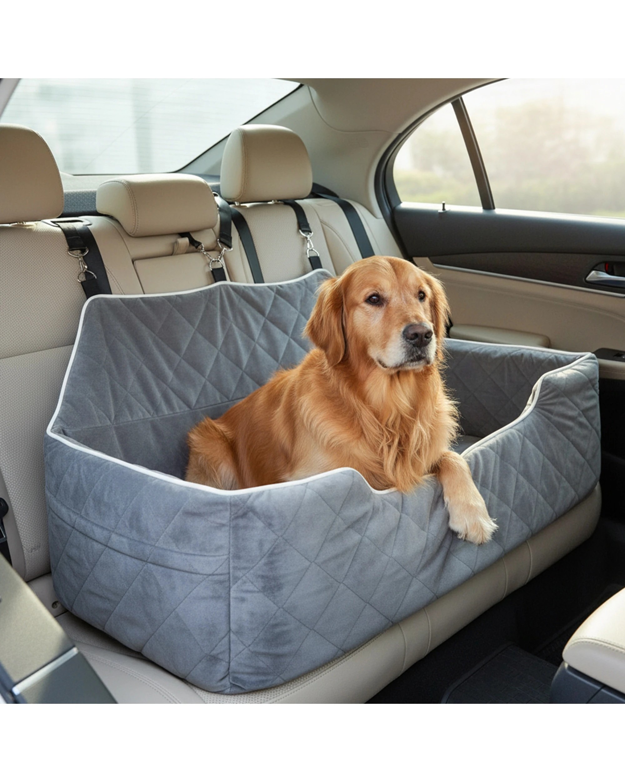 4 Advwin Pet Car Seat for Cat Dog Pet Booster Seat Cover, 4 of 8
