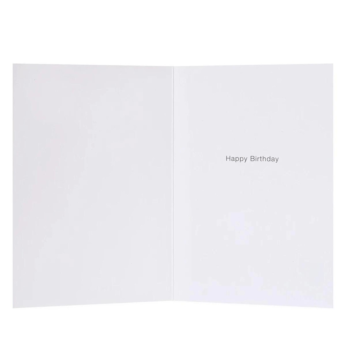 2 Connections from Hallmark Birthday Card - One Year More Fabulous!, 2 of 3