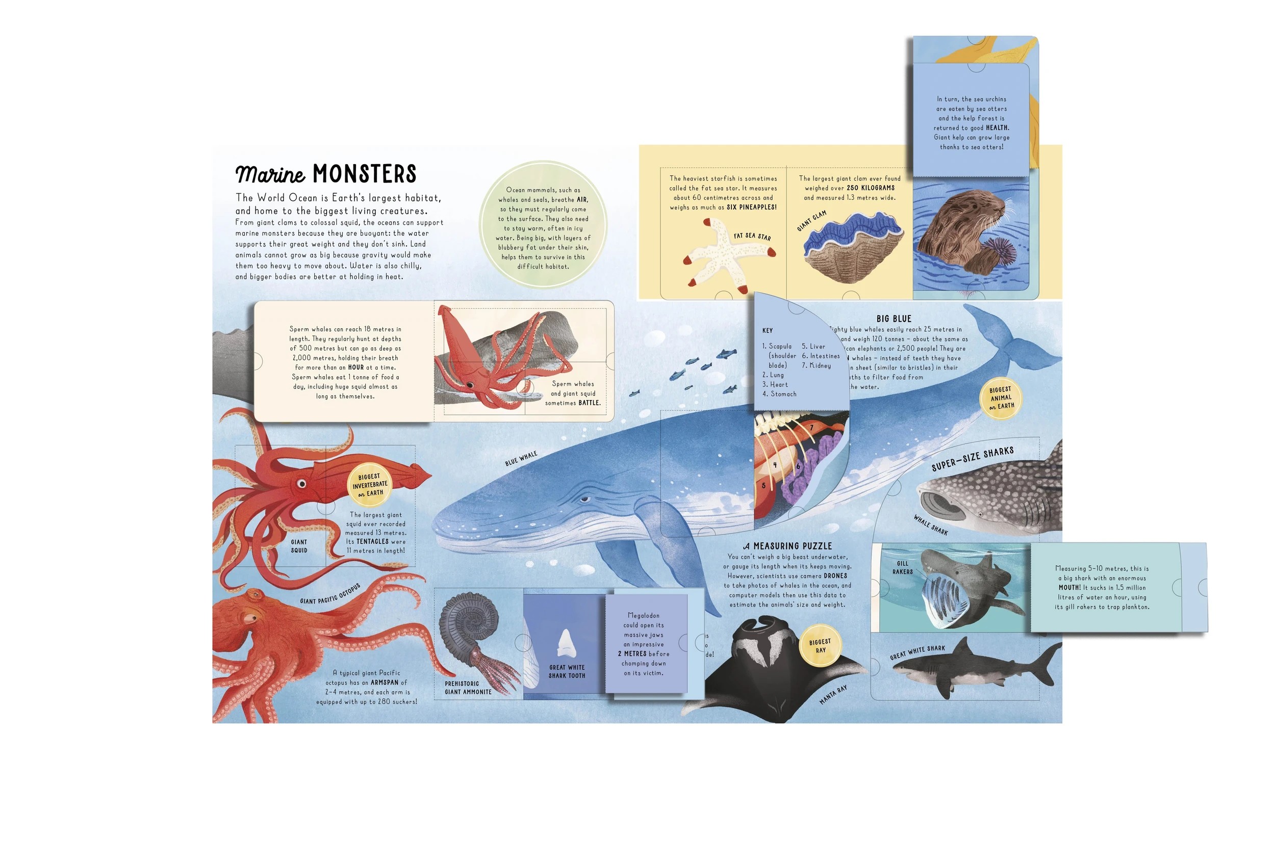 8 Lift-the-Flap Encyclopaedia of Oceans: 200 Flaps to Explore - Book, 8 of 9