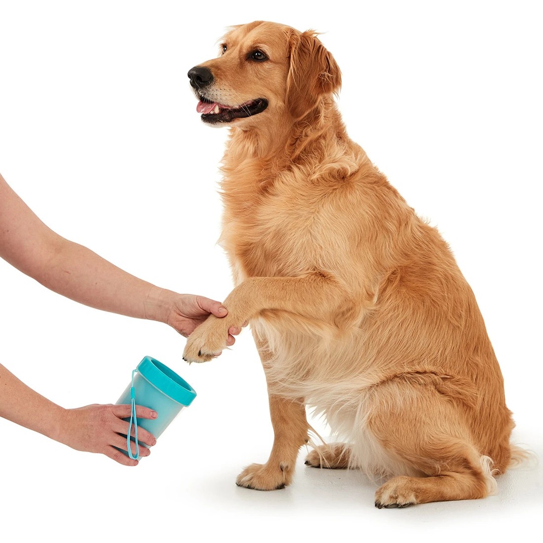 2 Dog Paw Cleaner, 2 of 8