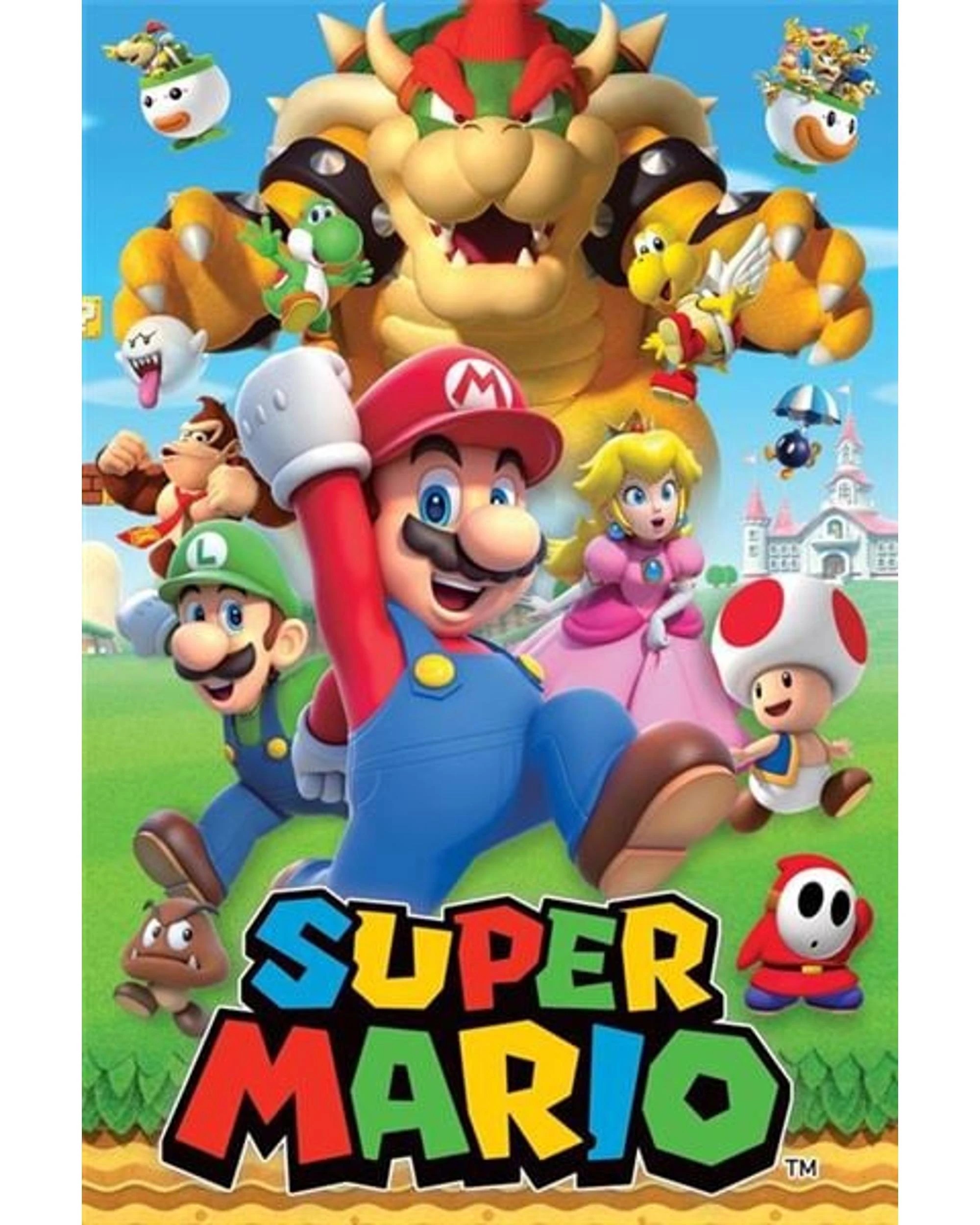 1 Super Mario Bowser Poster, 1 of 1