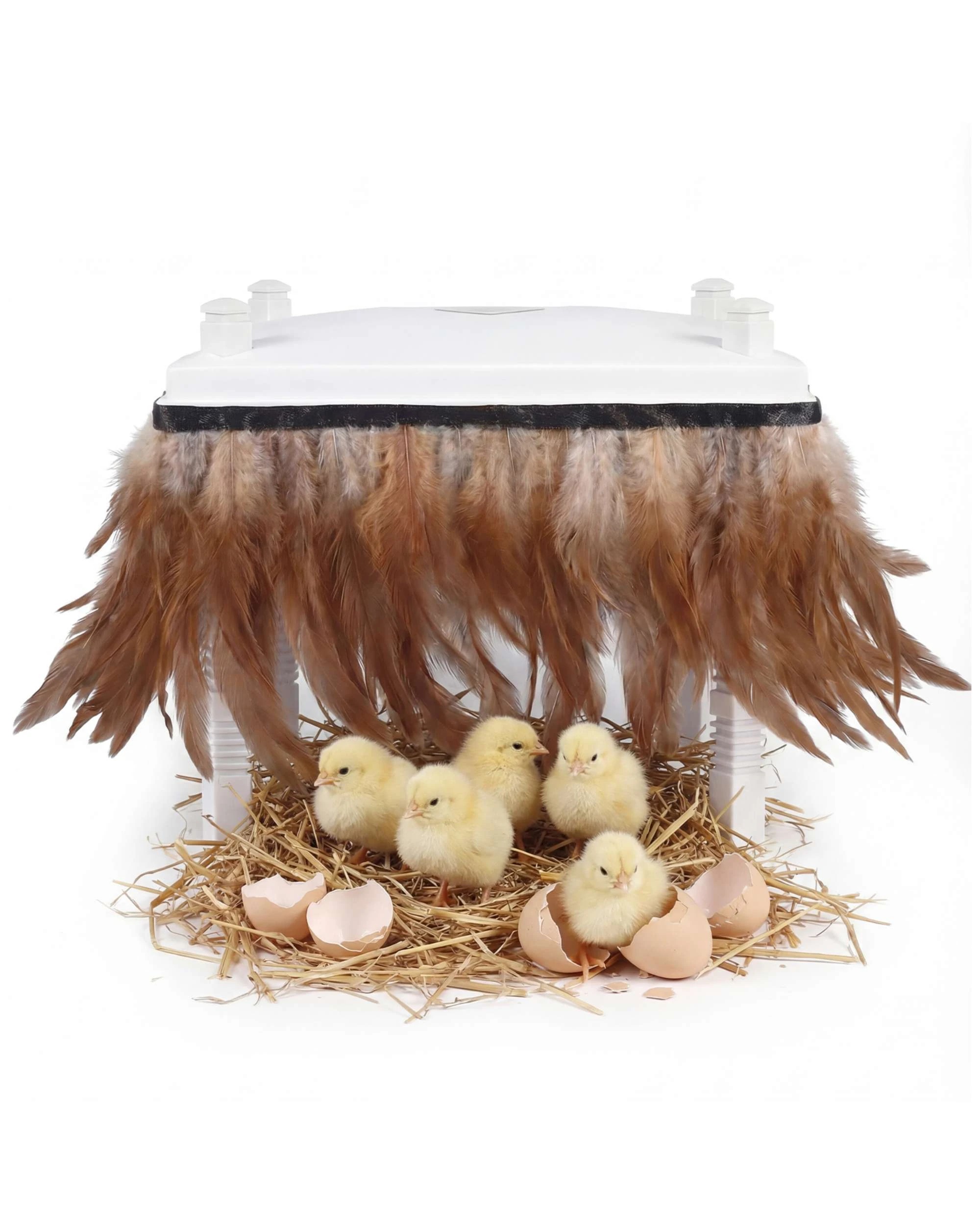 9 Advwin Chick Brooder Kit Heater Plate w/Feathers Feeder Waterer Set Adjustable Poultry, 9 of 10