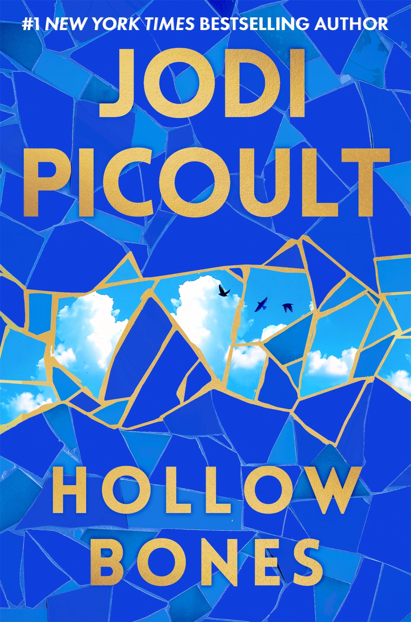 1 Hollow Bones by Jodi Picoult - Book, 1 of 1