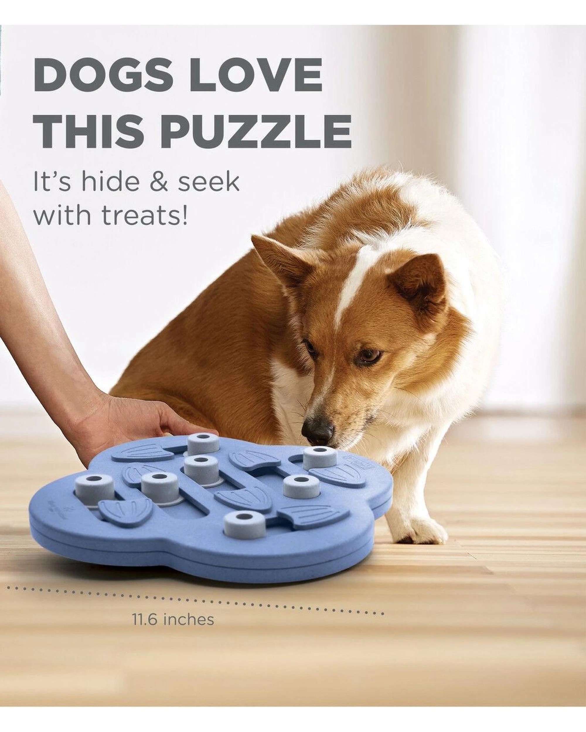 6 Outward Hound Nina Ottosson Dog Hide N Slide Puzzle Game Dog Toy Purple - Purple, 6 of 8