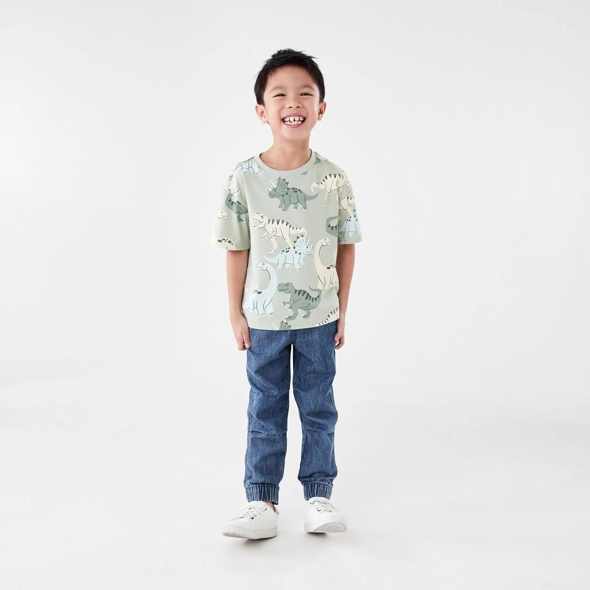 5 All Over Print T-shirt CRANKY DINOS AQUA GREY, 5 of 6