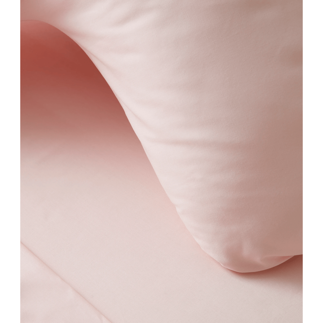 2 Target Australian Cotton 250 Thread Count Posture Pillowcase
 - Queen Bed
 - Pink, 2 of 2
