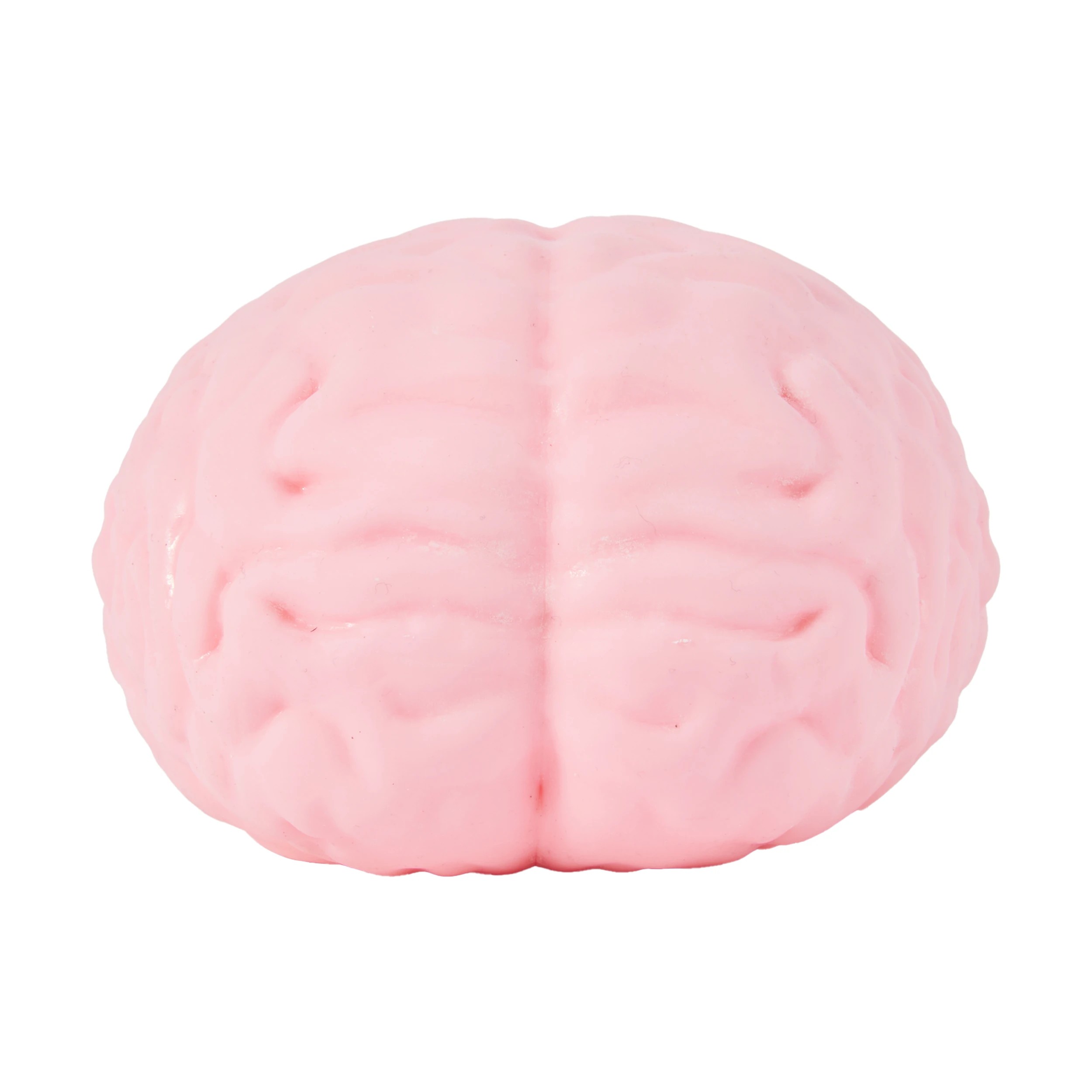 2 Squishy Brain, 2 of 5