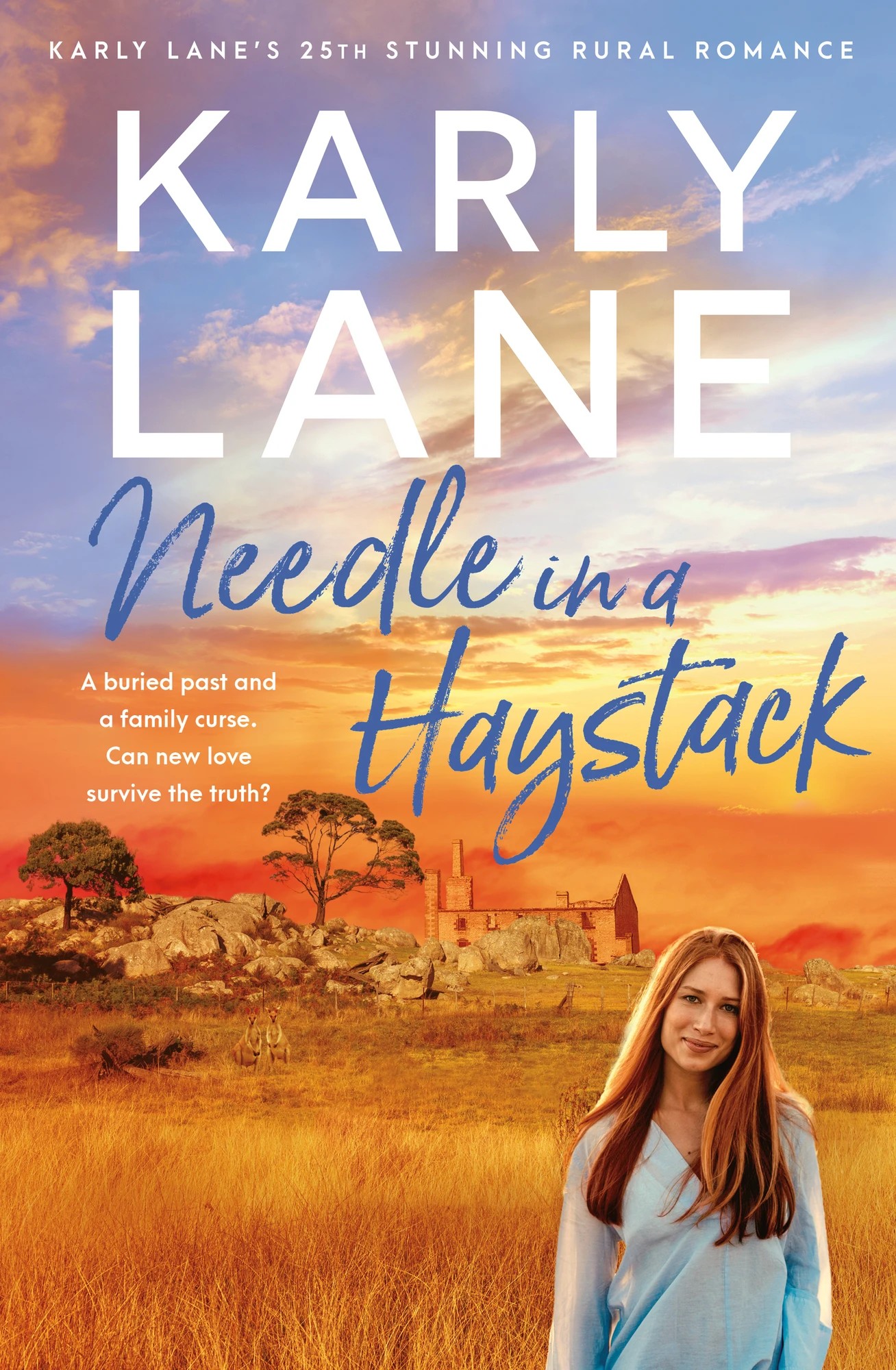 1 Needle in a Haystack by Karly Lane - Book