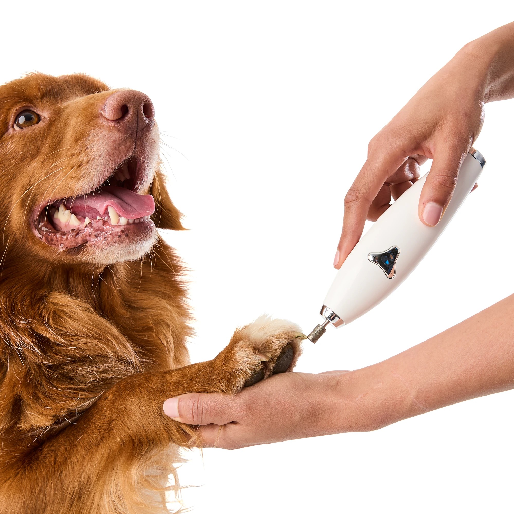 1 Pet Electric Nail File, 1 of 7