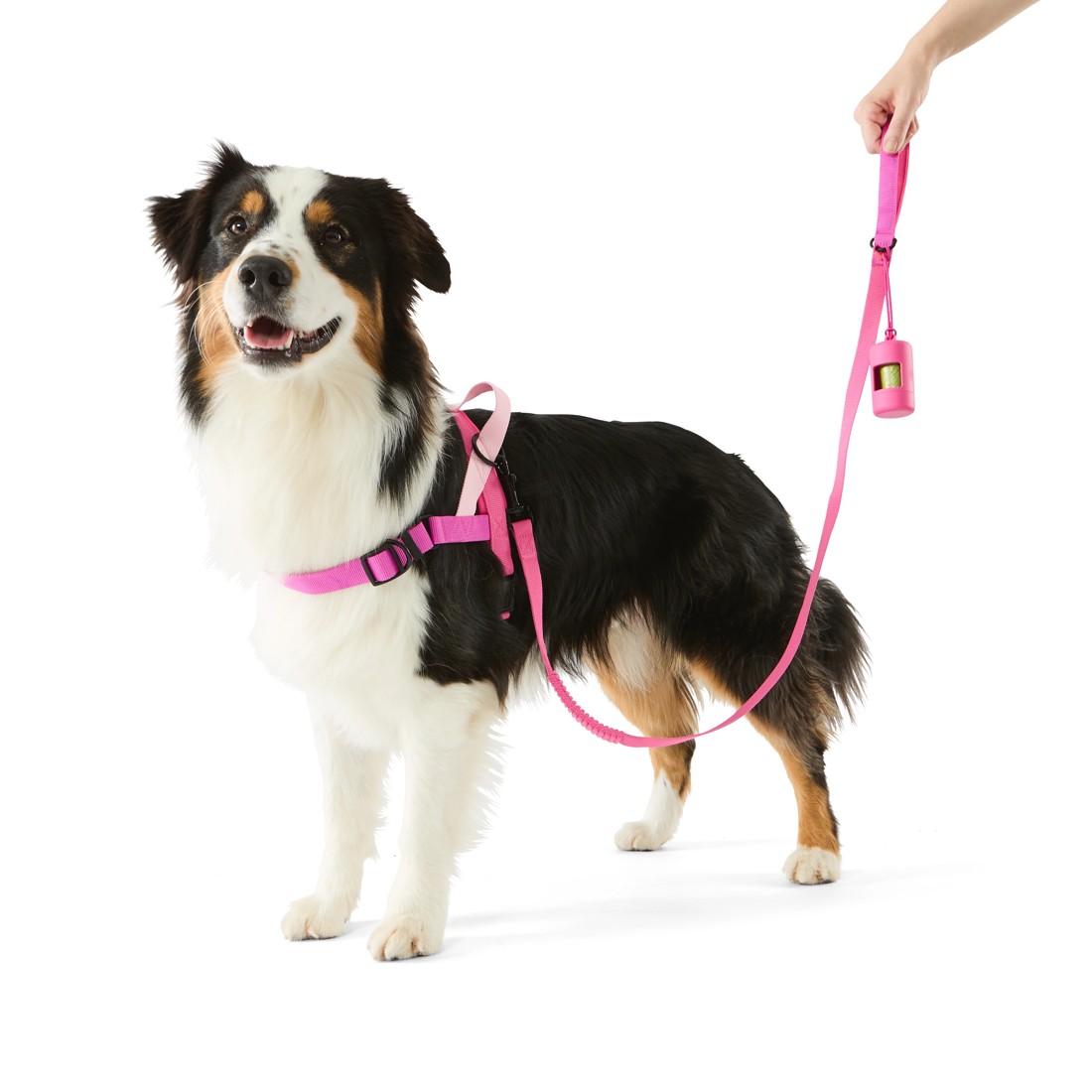 1 Pet Walking Set - Pink, Large, 1 of 5